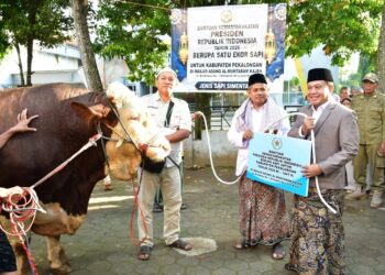 Pelaksana tugas Bupati Pekalongan Sukirman menyerahkan secara simbolis hewan kurban bantuan Presiden RI kepada takmir Masjid Al-Muhtarom Kajen usai Salat Iduladha, Rabu, 27 Mei 2026. (Fahri Akbar/Lingkarjateng.id)