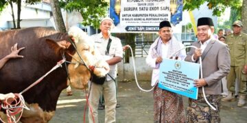 Sukirman Serahkan Hewan Kurban Bantuan Presiden dan Pemkab Pekalongan 1 Pelaksana tugas Bupati Pekalongan Sukirman menyerahkan secara simbolis hewan kurban bantuan Presiden RI kepada takmir Masjid Al-Muhtarom Kajen usai Salat Iduladha, Rabu, 27 Mei 2026. (Fahri Akbar/Lingkarjateng.id)