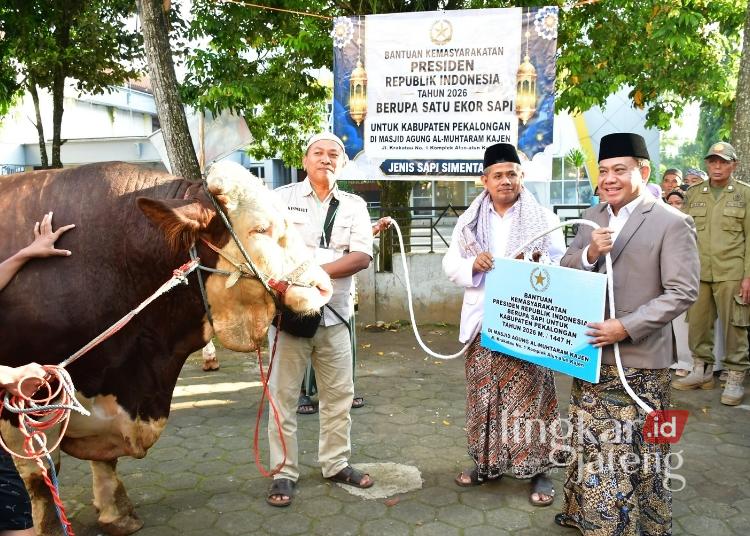 Sukirman Serahkan Hewan Kurban Bantuan Presiden dan Pemkab Pekalongan 25 Pelaksana tugas Bupati Pekalongan Sukirman menyerahkan secara simbolis hewan kurban bantuan Presiden RI kepada takmir Masjid Al-Muhtarom Kajen usai Salat Iduladha, Rabu, 27 Mei 2026. (Fahri Akbar/Lingkarjateng.id)