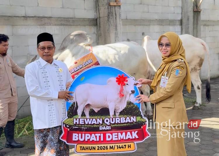Bupati dan Wakil Bupati Demak Kurban Sapi Jumbo di Masjid Agung 25 Bupati Demak Eisti’anah saat menyerahkan sapi kurban kepada pihak takmir Masjid Agung Demak, Senin, 25 Mei 2026. (M. Burhanuddin Aslam/Lingkarjateng.id)