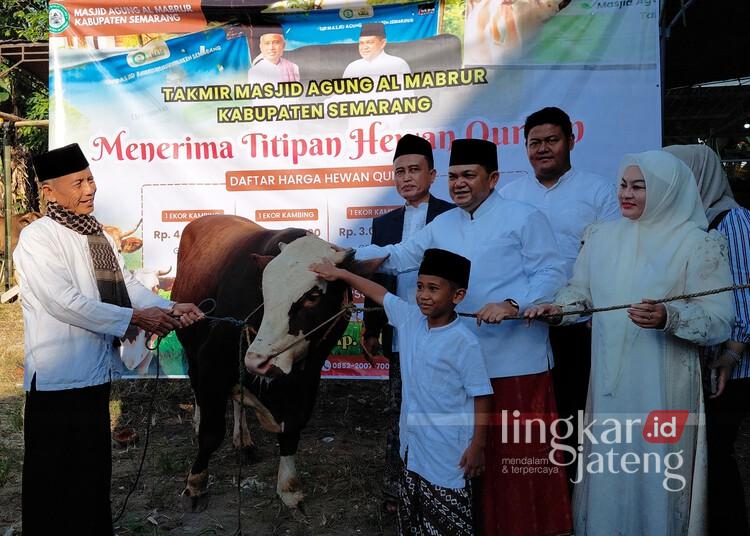 Bupati Semarang Kurban Sapi Bobot 700 Kg di Masjid Agung Al-Mabrur 25 Bupati Semarang, Ngesti Nugraha, saat menyerahkan sapi kurban ke takmir Masjid Agung Al-Mabrur Kabupaten Semarang, Rabu, 27 Mei 2026. (Hesty Imaniar/Lingkarjateng.id)
