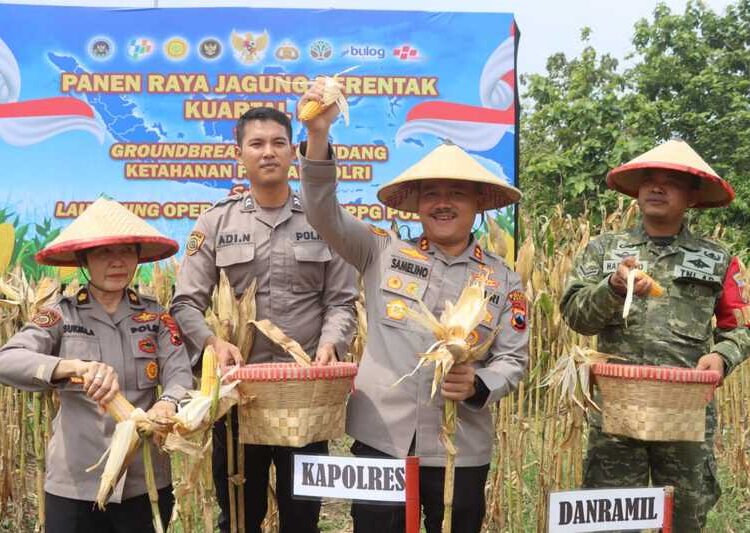 Kapolres Demak AKBP Arrizal Samelino saat melakukan panen raya jagung di Desa Tlogorejo, Kecamatan Karangawen, Kabupaten Demak. Foto : Dok.Polres Demak/Lingkar
