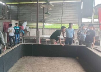 Polisi dan Warga Gerebek Judi Sabung Ayam dan Dadu Bathok di Demak