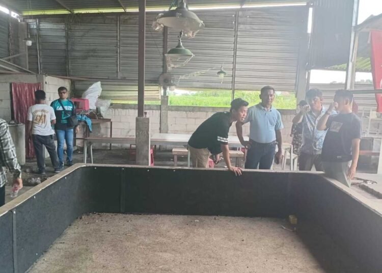 Polisi dan Warga Gerebek Judi Sabung Ayam dan Dadu Bathok di Demak 25 Polisi bersama warga saat menggerebek lokasi yang diduga menjadi judi sabung ayam di Desa Karangsono Demak. Foto: Burhan Aslam/Lingkar
