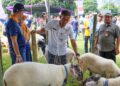 Pemprov Jateng Pastikan Kesehatan Hewan Kurban Idul Adha 2026. Foto : Dok. Humas Pemprov Jateng