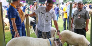 Pemprov Jateng Pastikan Kesehatan Hewan Kurban Idul Adha 2026. Foto : Dok. Humas Pemprov Jateng