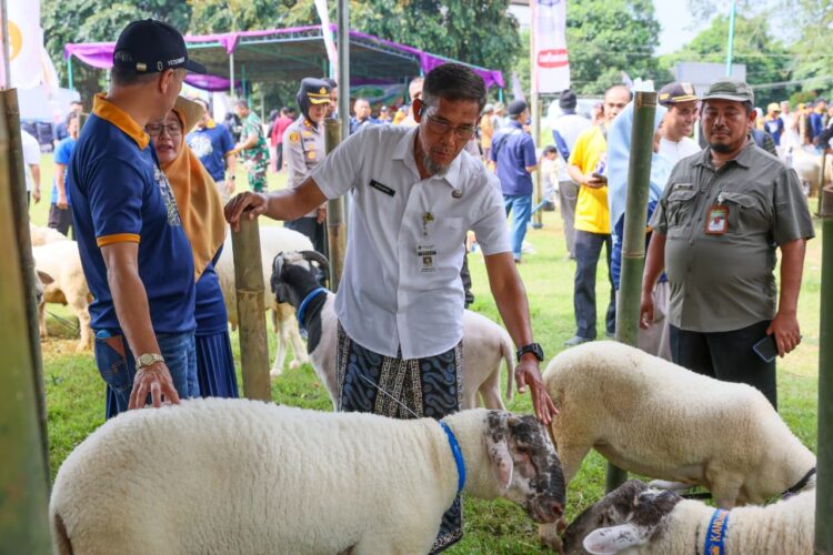 Pemprov Jateng Pastikan Kesehatan Hewan Kurban Idul Adha 2026 Layak Dikonsumsi Masyarakat 25 Pemprov Jateng Pastikan Kesehatan Hewan Kurban Idul Adha 2026. Foto : Dok. Humas Pemprov Jateng