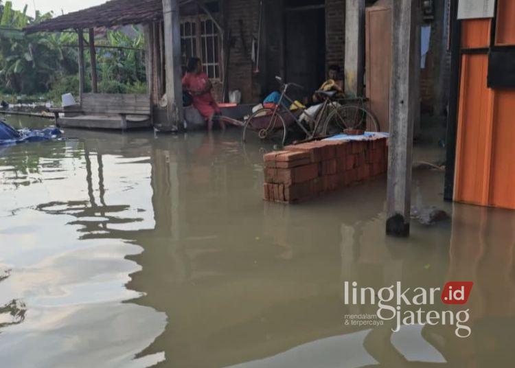 Kerap Terdampak Banjir di Ketitangwetan Pati, Warga Harapkan Solusi Pemerintah 25 BANJIR: Kondisi banjir di Desa Ketitangwetan, Kecamatan Batangan, Kabupaten Pati pada Selasa, 26 Mei 2026. (dok for Lingkarjateng.id)