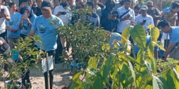 Gubernur Jawa Tengah Ahmad Luthfi menanam pohon di lokasi tambang CV Jati Kencana, Desa Kandangan, Kecamatan Bawen, Kabupaten Semarang, Rabu, 13 Mei 2026. (Angga Rosa/Lingkarjateng.id)