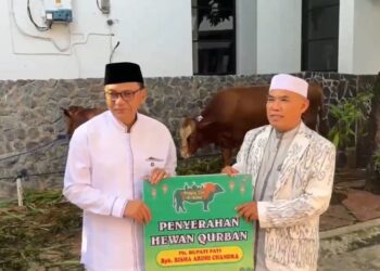 Pelaksana tugas Bupati Pati Risma Ardhi Chandra (kiri) secara simbolis menyerahkan sapi kurban kepada Ketua takmir Masjid Baitunnur Pati Arwani usai salat iduladha pada Rabu, 27 Mei 2026. (dok for Lingkarjateng.id)