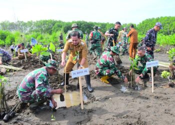 Plt Bupati Pekalongan, Sukriman, bersama Dandim 0710 Pekalongan dan jajaran saat melakukan penanaman 1.000 bibit mangrove di pesisir Desa Wonokerto Kulon, Kecamatan Wonokerto, Kabupaten Pekalongan, Senin, 25 Mei 2026. (Fahri Akbar/Lingkarjateng.id)