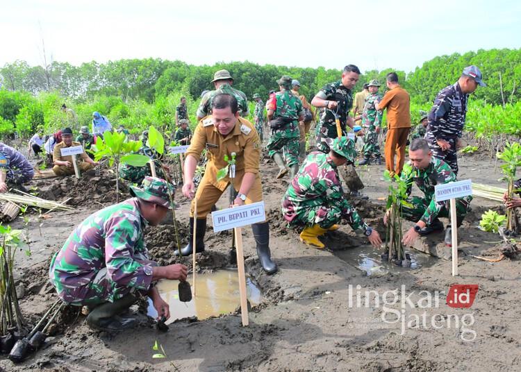 Cegah Abrasi, Pemkab-Kodim Pekalongan Tanam 1.000 Mangrove di Pesisir Wonokerto 25 Plt Bupati Pekalongan, Sukriman, bersama Dandim 0710 Pekalongan dan jajaran saat melakukan penanaman 1.000 bibit mangrove di pesisir Desa Wonokerto Kulon, Kecamatan Wonokerto, Kabupaten Pekalongan, Senin, 25 Mei 2026. (Fahri Akbar/Lingkarjateng.id)