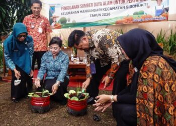 TANAM PADI: Wali Kota Salatiga Robby Hernawan (kedua kanan) bersama Ketua TP PKK Retno Robby Hernawan (ketiga kanan), menanam padi di dalam pot saat peluncuran program Sendi Laras di Tapak Hapsari, Kelurahan Mangunsari, Kecamatan Sidomukti, Kamis, 21 Mei 2026. (Prokompim Setda Salatiga/Lingkarjateng.id)