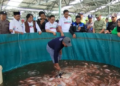 Panen Nila dari Kolam Bioflok, KDMP Undaan Kudus Siap Suplai ke SPPG Terdekat 34 KDMP Undaan Kudus panen perdana ikan Nila dari kolam bioflok bantuan KKP hari ini. Foto : Dok.Antara/Lingkar
