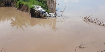 Kondisi tanggul sungai yang jebol di Desa Pidodokulon, Kecamatan Patebon, Kabupaten Kendal, Senin, 25 Mei 2026. (Anik Kustiani/Lingkarjateng.id)