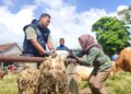 Pengawasan tidak hanya dilakukan di pasar hewan, namun juga menyasar peternakan milik warga. Foto : Pemkab Temanggung/Lingkar