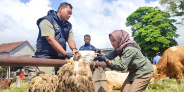 Pengawasan tidak hanya dilakukan di pasar hewan, namun juga menyasar peternakan milik warga. Foto : Pemkab Temanggung/Lingkar