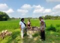 Polsek Blora menyelidiki penemuan mayat lansia di dalam sumur yang berada di tengah areal persawahan Desa Temurejo, Senin, 4 Mei 2026. (Dok. Polres Blora/Lingkarjateng.id)