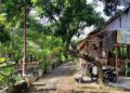 Suasana taman Kalireyeng Kelurahan Kebondalem, Kendal. (Dok. Pribadi/Lingkarjateng.id)