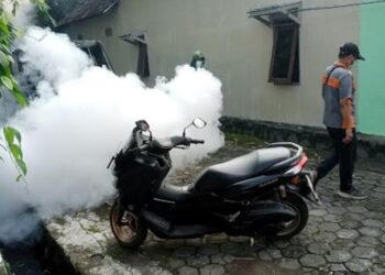 Pelaksanaan foggig di Desa Karangmulyo, Kecamatan Pegandon menyusul kasus 5 anak dirawat akibat demam dengue (DD). (Dok. Pribadi/Lingkarjateng.id)
