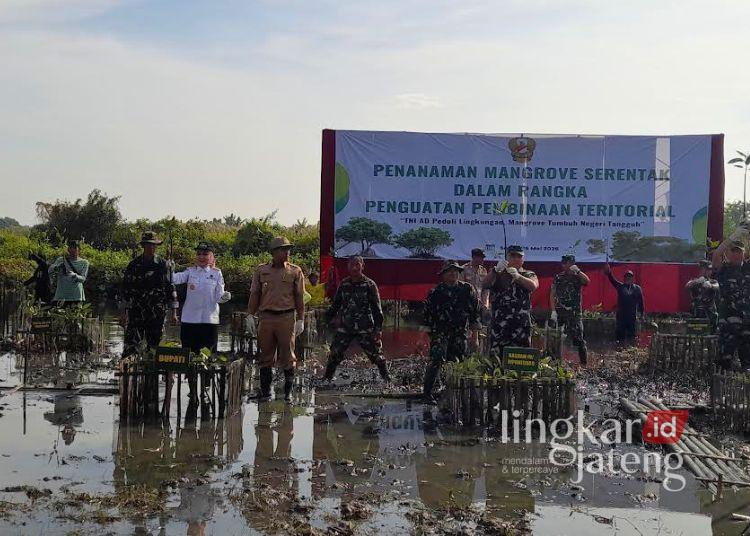 Pembinaan Teritorial TNI AD, 1.500 Mangrove Ditanam di Pidodokulon Kendal 25 Penanaman serentak bibit pohon mangrove di Dusun Pilangsari, Desa Pidodokulon, Kecamatan Patebon, Senin, 25 Mei 2026. (Anik Kustiani/Lingkarjateng.id)