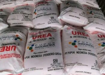 Tebus Pupuk Subsidi Cukup Pakai KTP, DPRD Pati Minta PPL Sosialisasi ke Petani