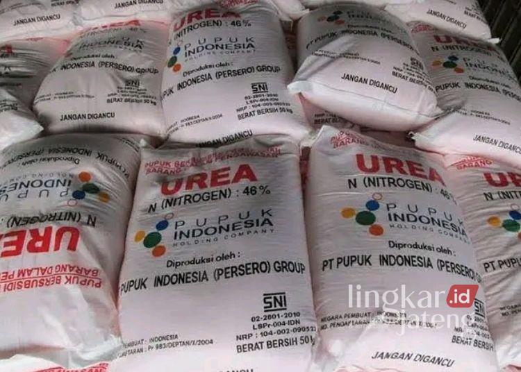 Tebus Pupuk Subsidi Cukup Pakai KTP, DPRD Pati Minta PPL Sosialisasi ke Petani 25 Pupuk subsidi. (Lingkarjateng.id)