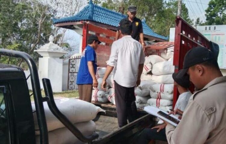 Ilustrasi - Pemerintah gelontorkan bantuan bibit jagung dan padi kepada kelompok tani di Blora.