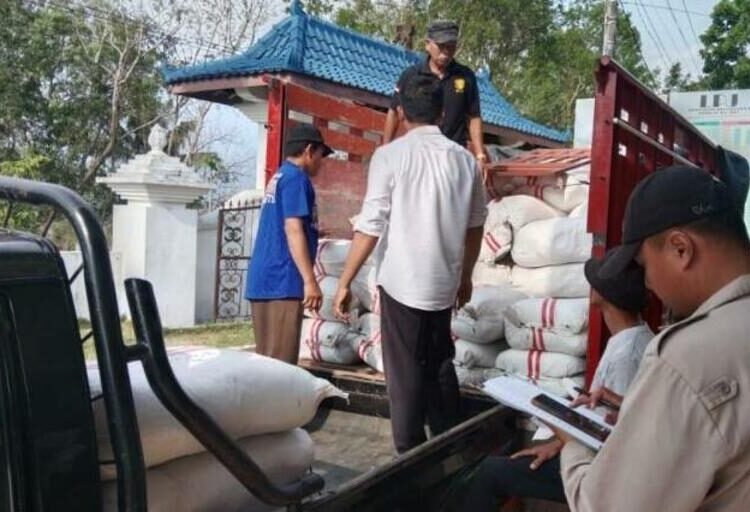 Penyangga Pangan Nasional, Kelompok Tani Blora Dapat Bantuan Benih Bibit Padi dan Jagung 25 Ilustrasi - Pemerintah gelontorkan bantuan bibit jagung dan padi kepada kelompok tani di Blora.
