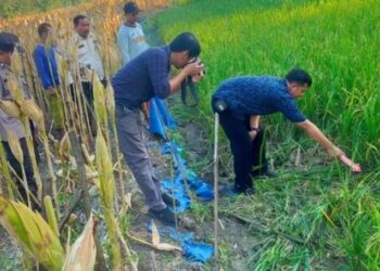 Polisi olah TKP petani tersengat listrik di Dusun Tumpuk, Desa Kalanglundo, Kecamatan Ngaringan, Kabupaten Grobogan, Kamis (7/5/2026). Foto: Dok. Polres Grobogan/Lingkar