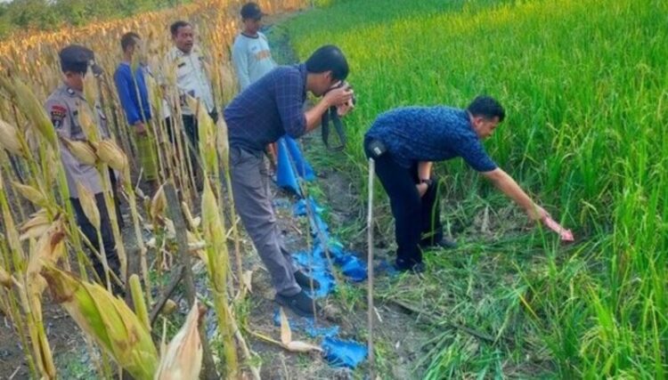 Polisi olah TKP petani tersengat listrik di Dusun Tumpuk, Desa Kalanglundo, Kecamatan Ngaringan, Kabupaten Grobogan, Kamis (7/5/2026). Foto: Dok. Polres Grobogan/Lingkar
