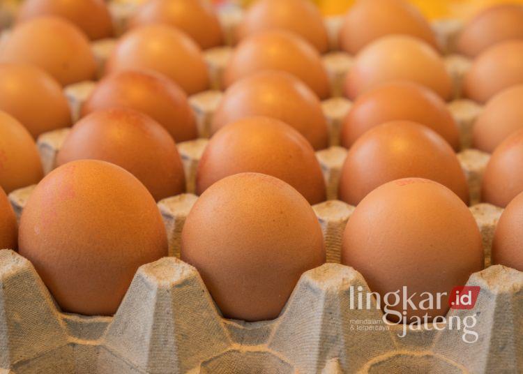 ILUSTRASI: Telur ayam. (Canva)