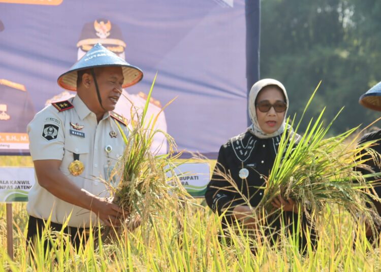 PANEN : Wakil Bupati Blora Sri Setyorini ikut melakukan panen padi organik yang dilakukan oleh warga binaan Rutan Kelas IIB Blora. Foto : Dok.Pemkab Blora/Lingkar