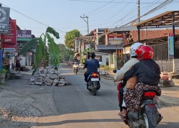 Jalan rusak di Dusun Krajan, Desa Wringinputih, Kecamatan Bergas, Kabupaten Semarang, diblokadi warga menggunakan batu dan pohon pisang, Kamis, 11 Juni 2026. (Hesty Imaniar/Lingkarjateng.id)