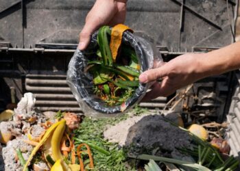 Pemkot Salatiga Berencana Gandeng Sekolah Produksi Komposter Murah 25 ILUSTRASI: Proses pembuatan kompos dari sampah sisa rumah tangga. (Canva)