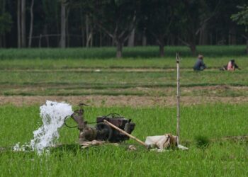 Salatiga Andalkan Pompanisasi Antisipasi Kekeringan Sektor Pertanian 27 ILUSTRASI: Pompa air di sawah. (Canva)