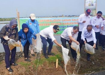 Solusi Banjir dan Rob, Pemerintah Matangkan Rencana Proyek Giant Sea Wall di Batang 25 Bupati Batang M. Faiz Kurniawan (topi hitam), menebar benih ikan saat peresmian program budidaya padi biosalin di lahan seluas 32 hektar di Dukuh Sicepit, Kelurahan Kasepuhan, Kabupaten Batang, Selasa, 16 Juni 2026. (dok Diskominfo Batang/Lingkarjateng.id)