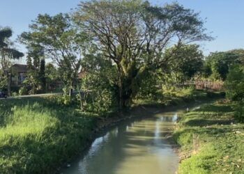 Aliran Sungai Juwana di Desa Kutuk, Kecamatan Undaan, Kabupaten Kudus. (Nisa Hafizhotus S./Lingkarjateng.id)