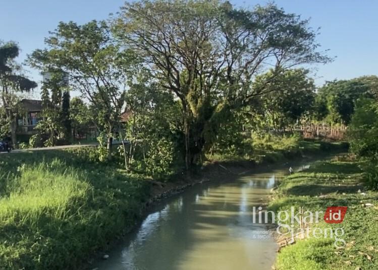 Aliran Sungai Juwana di Desa Kutuk, Kecamatan Undaan, Kabupaten Kudus. (Nisa Hafizhotus S./Lingkarjateng.id)