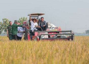 Gubernur Jawa Tengah, Ahmad Luthfi, mengoperasikan mesin pemanen padi saat panen raya di Desa Gentan, Kecamatan Bendosari, Kabupaten Sukoharjo, Rabu, 24 Juni 2026. (dok for Lingkarjateng.id)