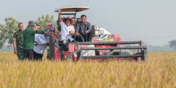 Gubernur Jawa Tengah, Ahmad Luthfi, mengoperasikan mesin pemanen padi saat panen raya di Desa Gentan, Kecamatan Bendosari, Kabupaten Sukoharjo, Rabu, 24 Juni 2026. (dok for Lingkarjateng.id)