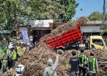 Petani Blora Gelar Aksi Tumpah Tebu di Depan PT GMM, Tuntut Kepastian Serapan Panen