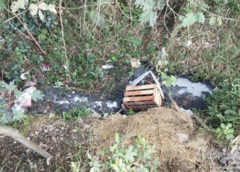 Limbah Misterius Cemari Sungai Santren Kudus, Diduga Ulah Oknum Sopir Truk