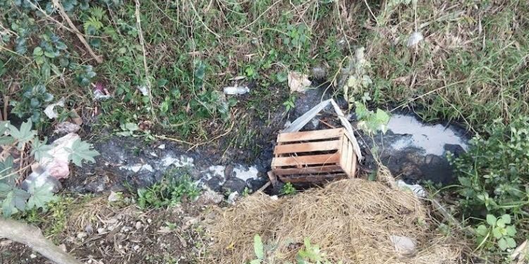 Kondisi Sungai Santren di Desa Karangampel, Kecamatan Kaliwungu, Kabupaten Kudus berwarna putih diduga karena mengalami pencemaran limbah kimia. (Dok. Pribadi/Lingkarjateng.id)