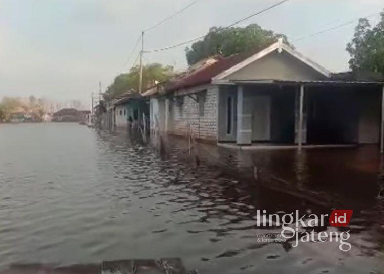 Rob yang merendam pemukiman warga pesisir Kabupaten Pati. (Dok. Pribadi/Lingkarjateng.id)