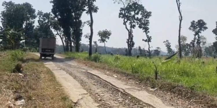 tompegunung