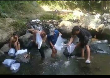Puluhan remaja dari wilayah Kecamatan Tengaran melakukan aksi tebar bibit ikan di Sungai Serang di Desa Tengaran, Kabupaten Semarang demi menjaga ekosistem di sungai. Foto :Hesty/Lingkar