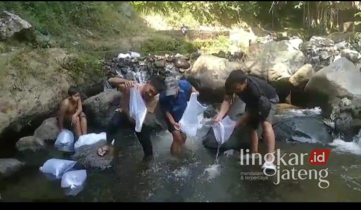 Jaga Sungai Tetap Lestari, Puluhan Remaja Tengaran Aksi Tebar Ribuan Bibit Ikan 25 Puluhan remaja dari wilayah Kecamatan Tengaran melakukan aksi tebar bibit ikan di Sungai Serang di Desa Tengaran, Kabupaten Semarang demi menjaga ekosistem di sungai. Foto :Hesty/Lingkar