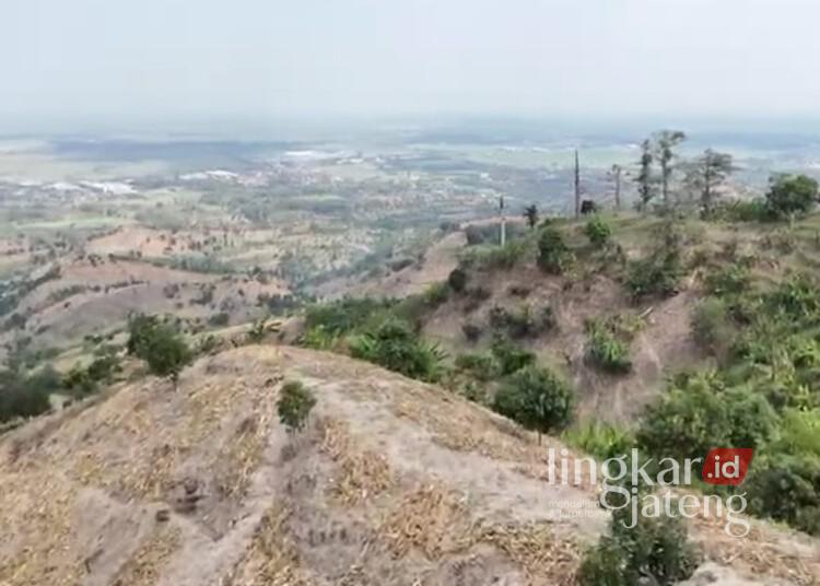 Kawasan Perbukitan Patiayam di wilayah Desa Terban, Kecamatan Jekulo, Kabupaten Kudus. (Nisa Hafizhotus S./Lingkarjateng.id)
