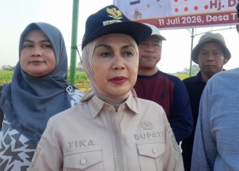 Mitigasi Kekeringan di Kendal, Bupati Tika Siapkan Pompa Air hingga Bangun Sumur Bor